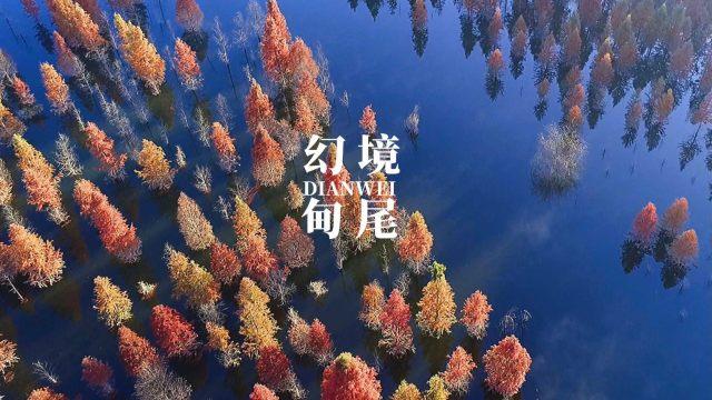 不能干洗是不能洗衣机洗吗游戏画面