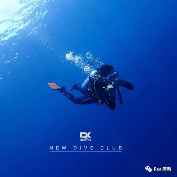 广东水产饲料行业全自动装车设备的应用——提升效率与品质的利器